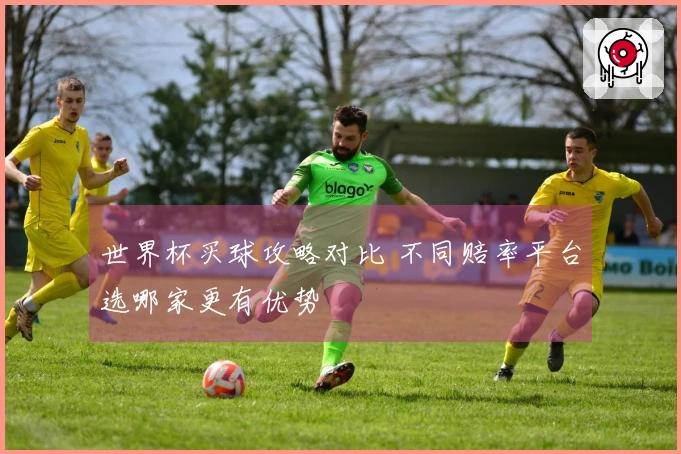 世界杯买球攻略对比 不同赔率平台选哪家更有优势