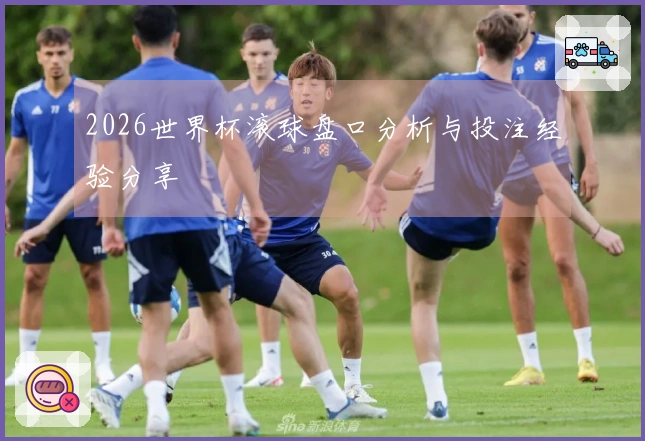2026世界杯滚球盘口分析与投注经验分享