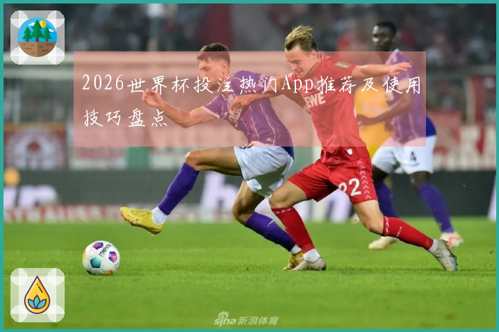 2026世界杯投注热门App推荐及使用技巧盘点