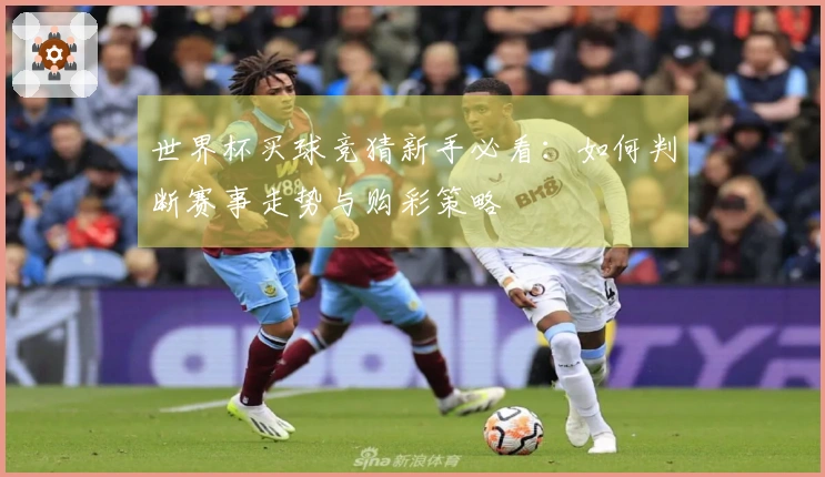 世界杯买球竞猜新手必看:如何判断赛事走势与购彩策略